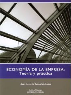 Economía de la empresa : teoría y práctica