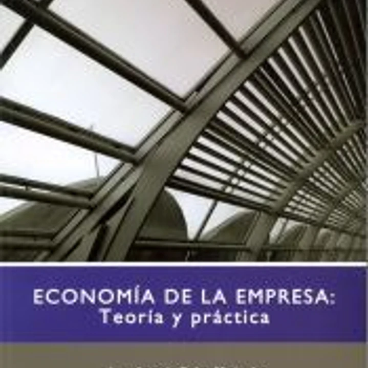 Economía de la empresa : teoría y práctica 1