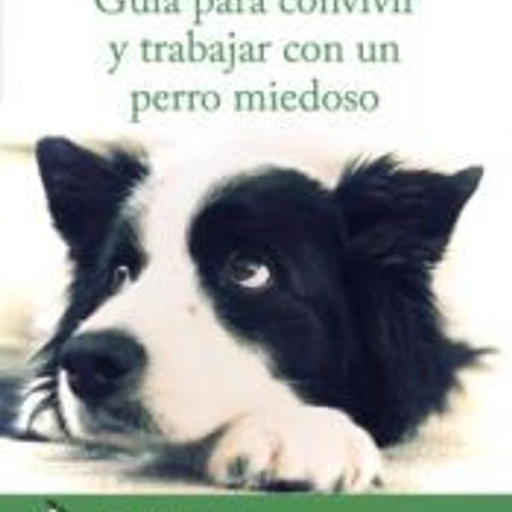 Guía para convivir y trabajar con un perro miedoso 1