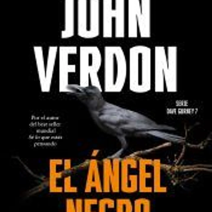 El ángel negro (Serie Dave Gurney 7) 1
