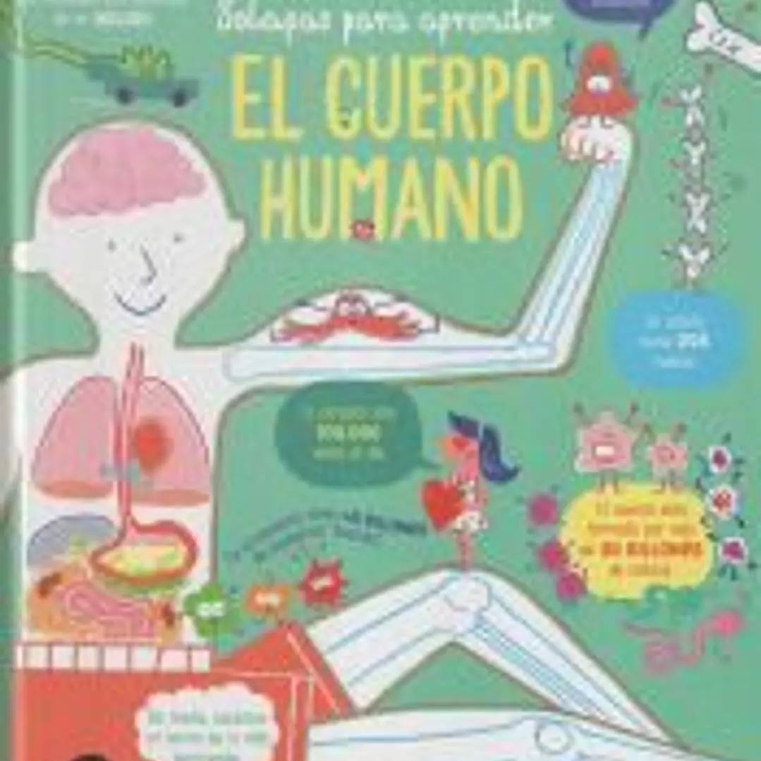CUERPO HUMANO 1