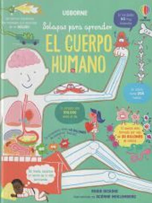 CUERPO HUMANO