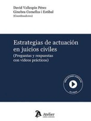Estrategias De Actuacion En Juicios Civiles Preguntas Y Res