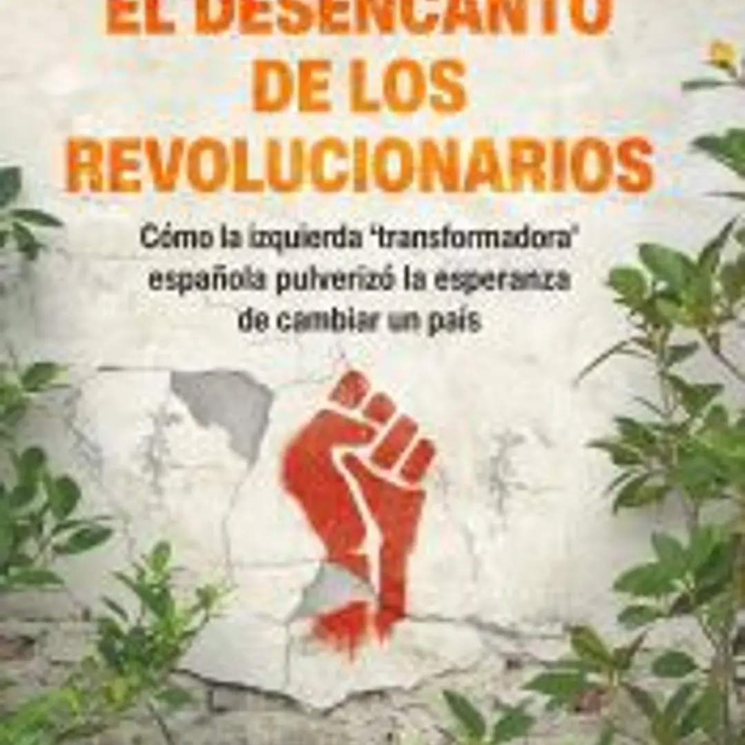 El desencanto de los revolucionarios 1
