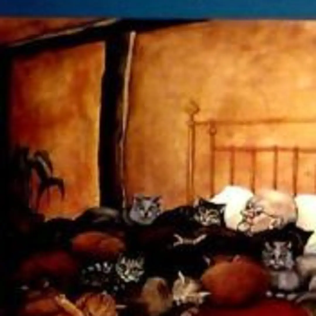 Animales y más que animales 1