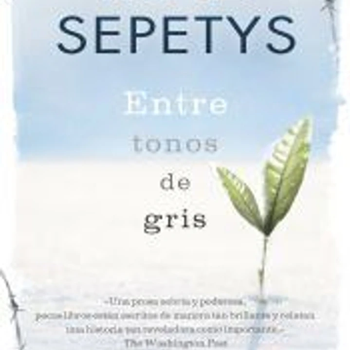 ENTRE TONOS DE GRIS 1