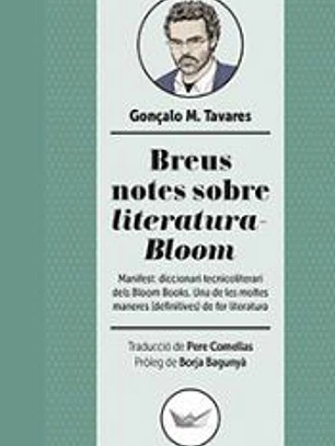 Breus notes sobre literatura-Bloom