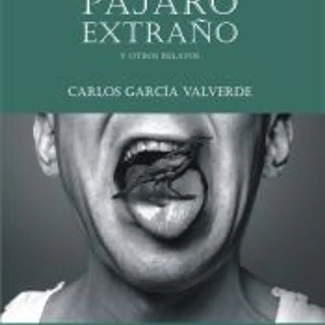 Como un pájaro extraño 1