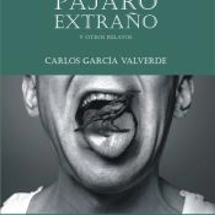 Como un pájaro extraño 1