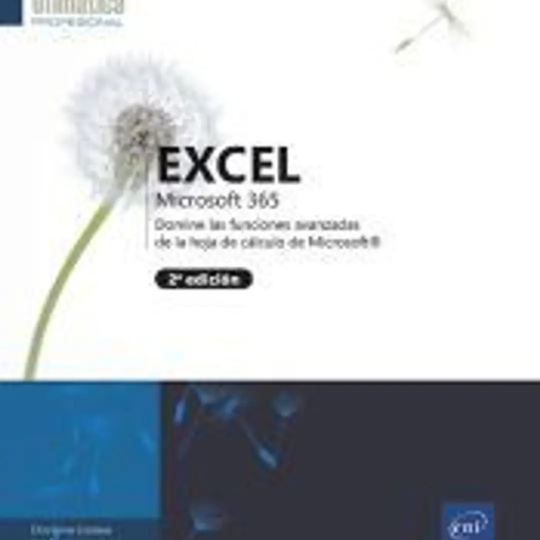 Excel microsoft 365. Domine las funciones avanzadas de la hoja de càlculo de Microsoft 1
