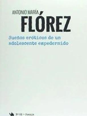 sueños eroticos de un adolescente empedernido