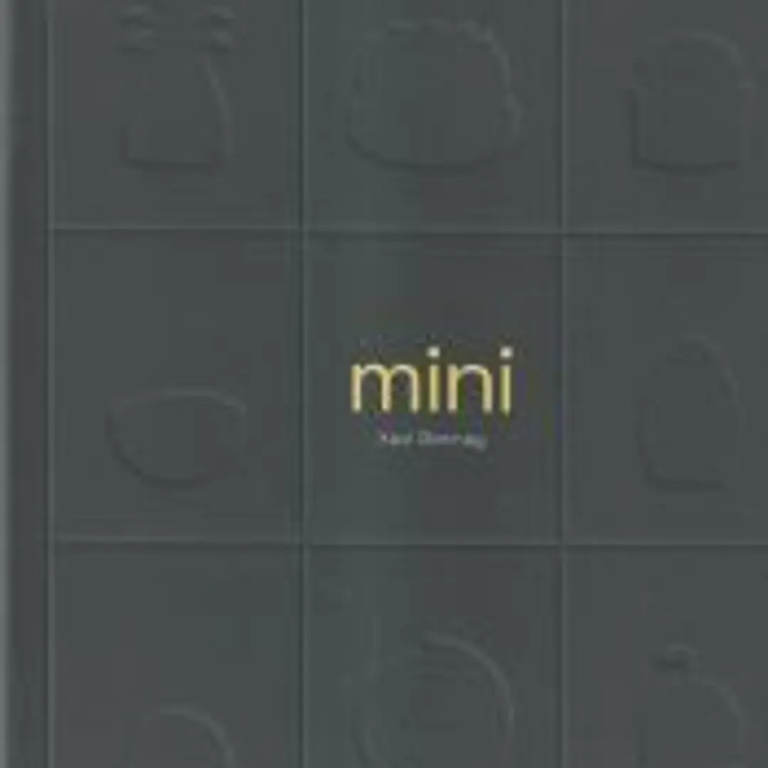Mini 1