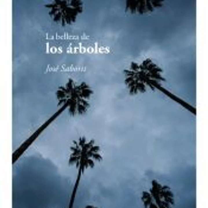 La belleza de los árboles 1