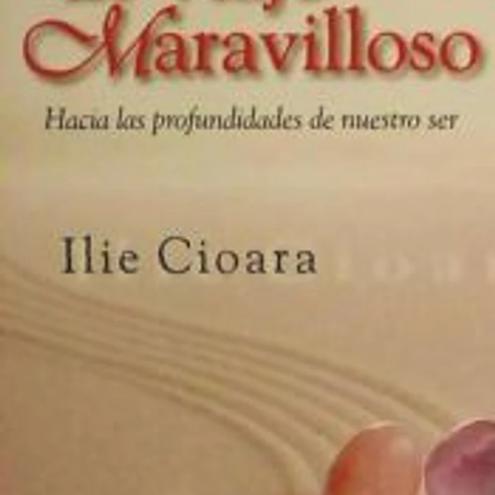 El Viaje Maravilloso: Hacia las Profundidades de Nuestro Ser = Wonderful Journey 1
