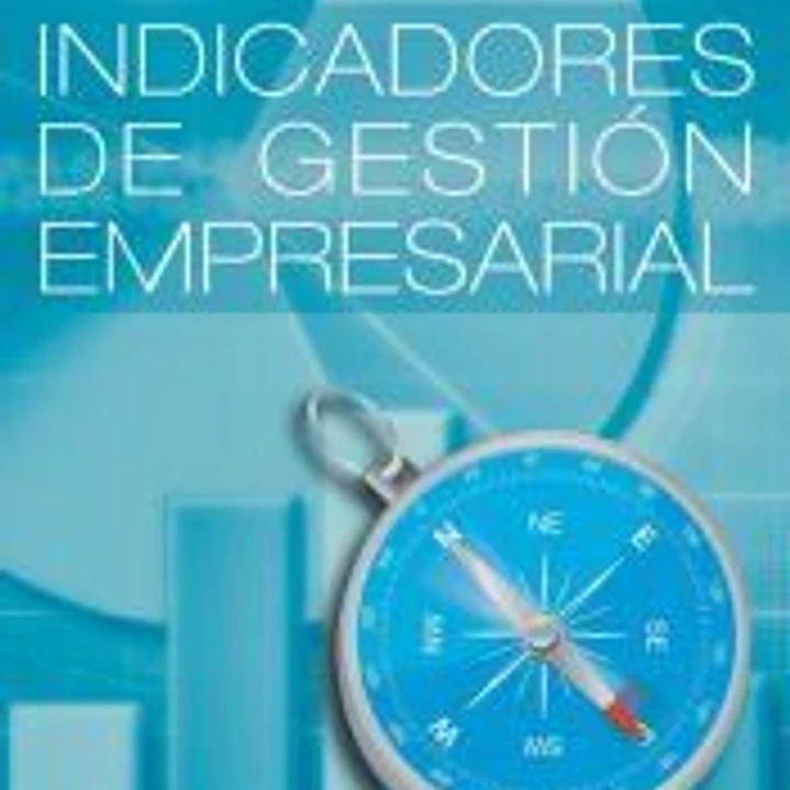 Indicadores de Gestion Empresarial 1