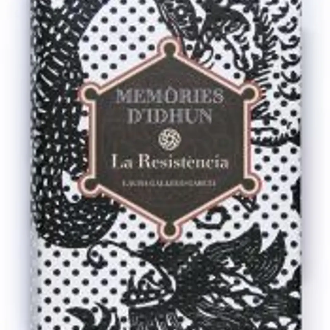 Memories D´ Idhun 1. La resistencia 1