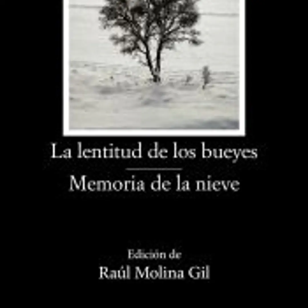 La lentitud de los bueyes; Memoria de la nieve 1