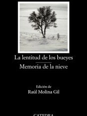 La lentitud de los bueyes; Memoria de la nieve