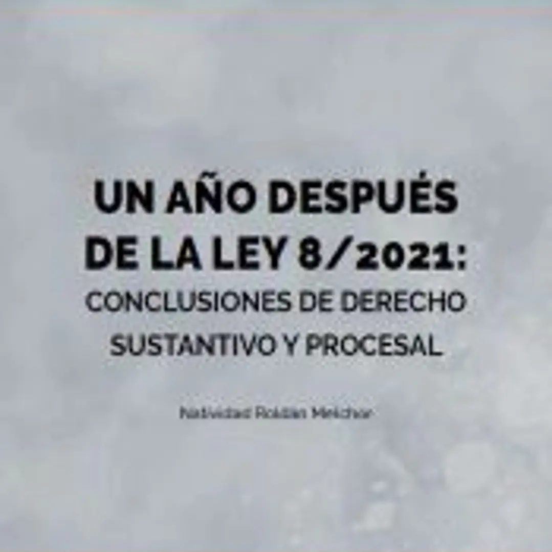 Un año después de la Ley 8/2021: conclusiones de derecho sustantivo y procesal 1