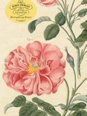 John Derian Paper Goods: Everything Roses Notepad