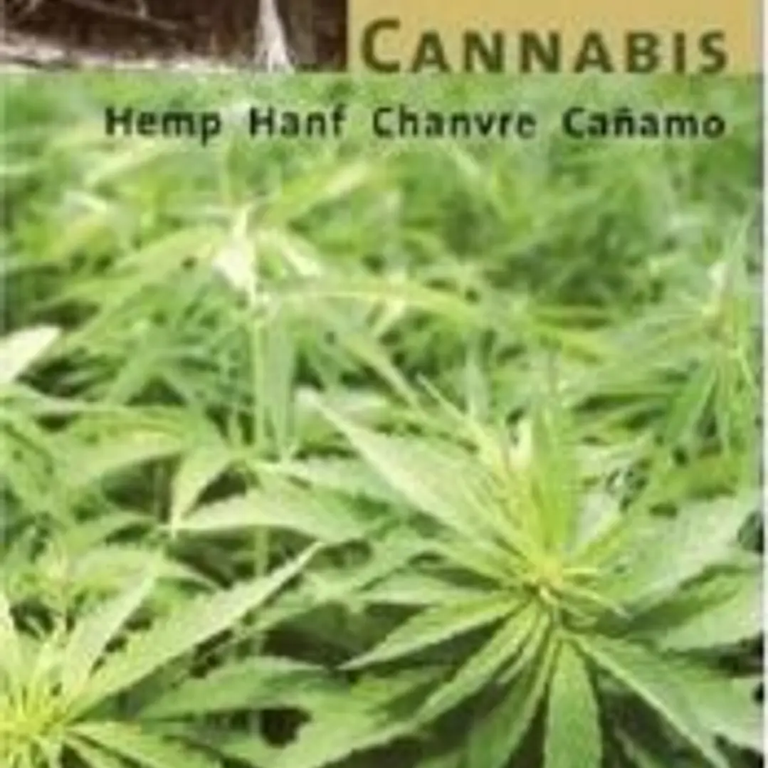Cannabis. Hemp, Hanf, Chanvre, Canamo 1