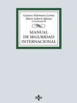 Manual de Seguridad Internacional