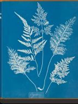ANNA ATKINS. CYANOTYPES (ALE/FRA/ING)