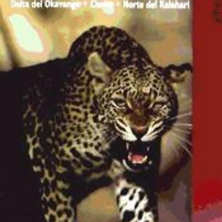 BOTSUANA (BRADT)(9788492963584)  1