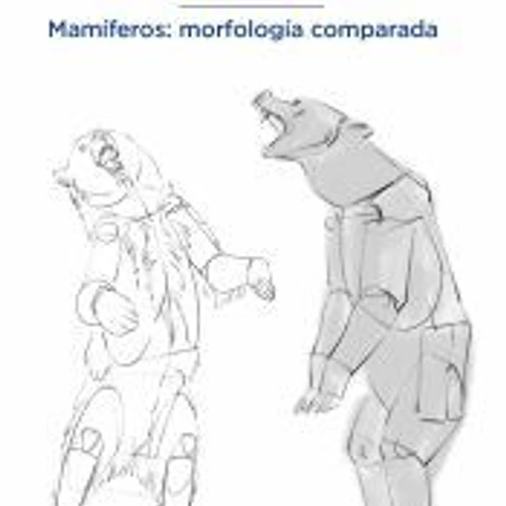 Anatomía artística 9 Mamíferos: morfología comparada 1