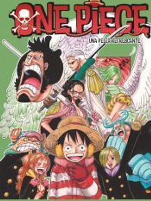 One Piece 67