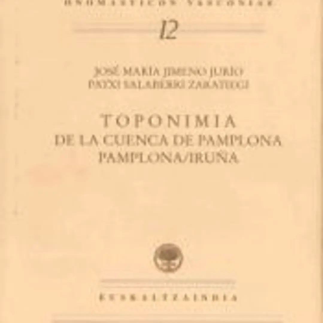 Toponimia de la cuenca de Pamplona. Pamplona/Iruña 1