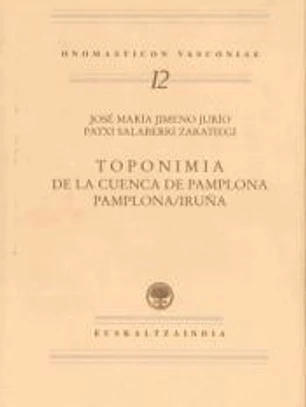 Toponimia de la cuenca de Pamplona. Pamplona/Iruña