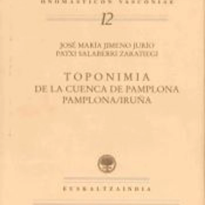Toponimia de la cuenca de Pamplona. Pamplona/Iruña 1