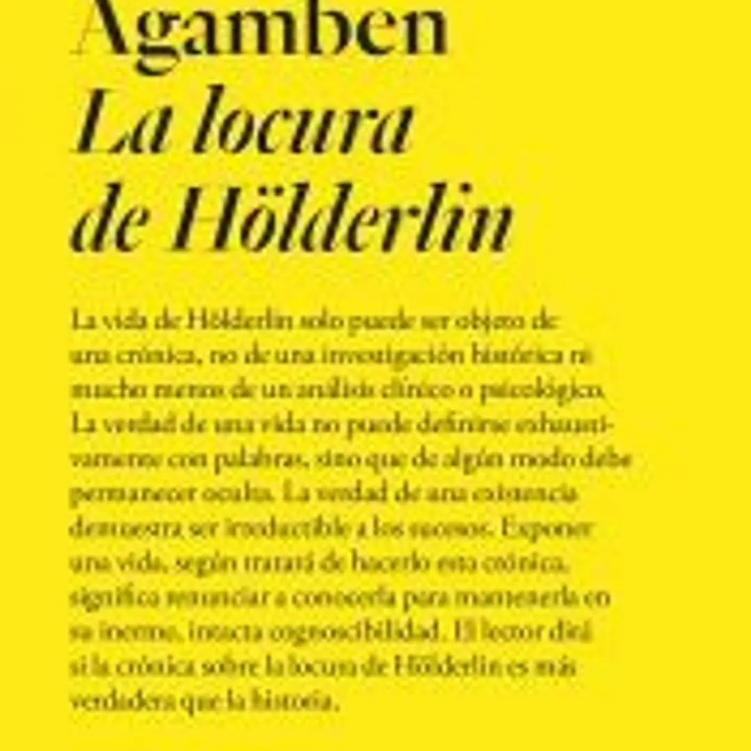 La locura de Hölderlin 1