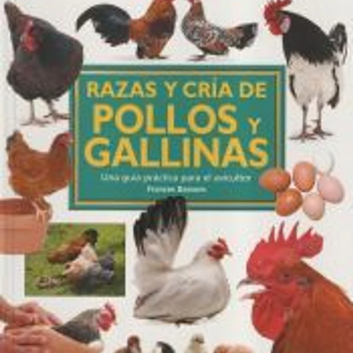 Razas y cría de pollos y gallinas 1