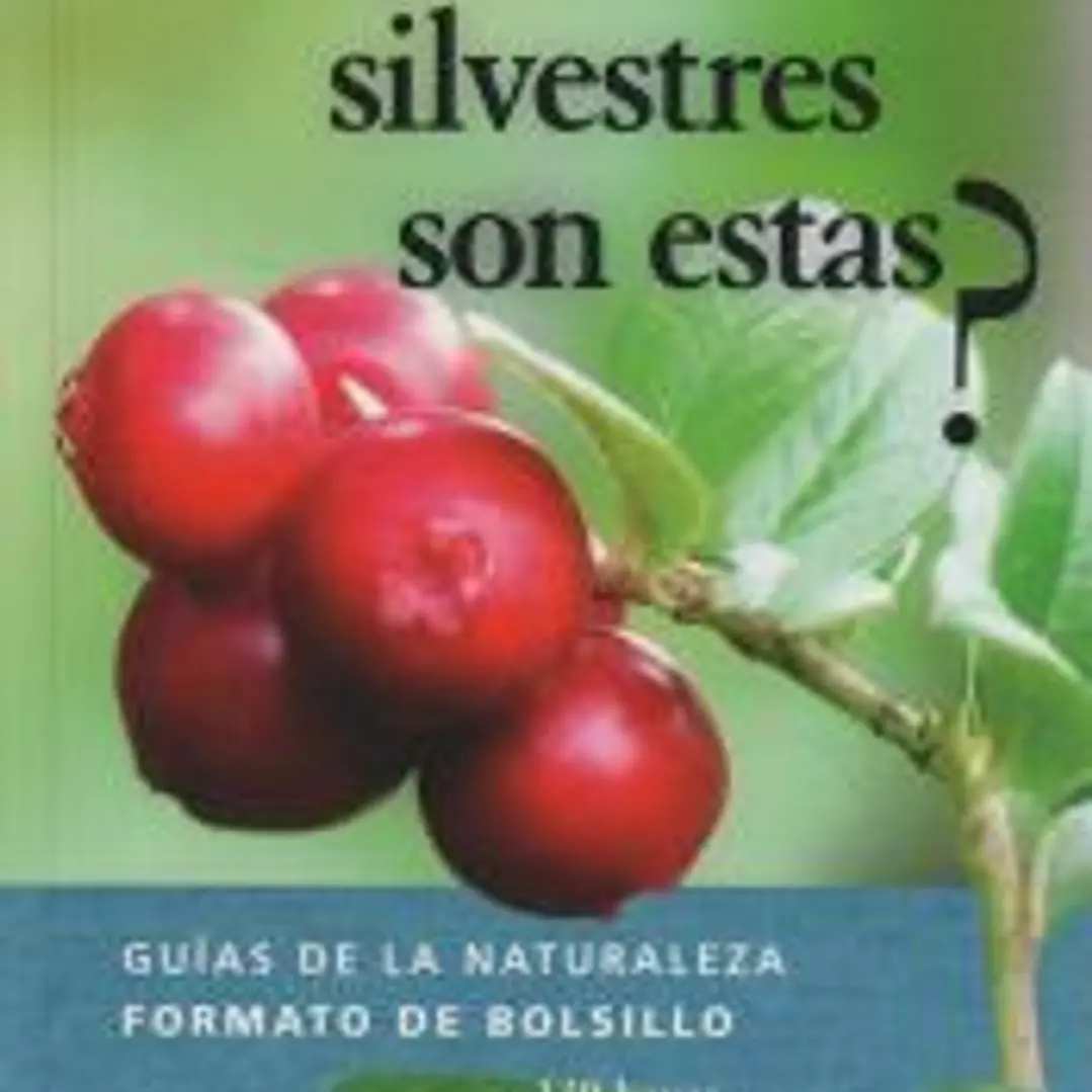 ¿QUÉ BAYAS Y PLANTAS SILVESTRES SON ESTAS? 1