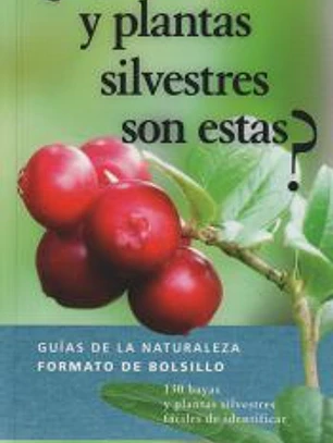 ¿QUÉ BAYAS Y PLANTAS SILVESTRES SON ESTAS?
