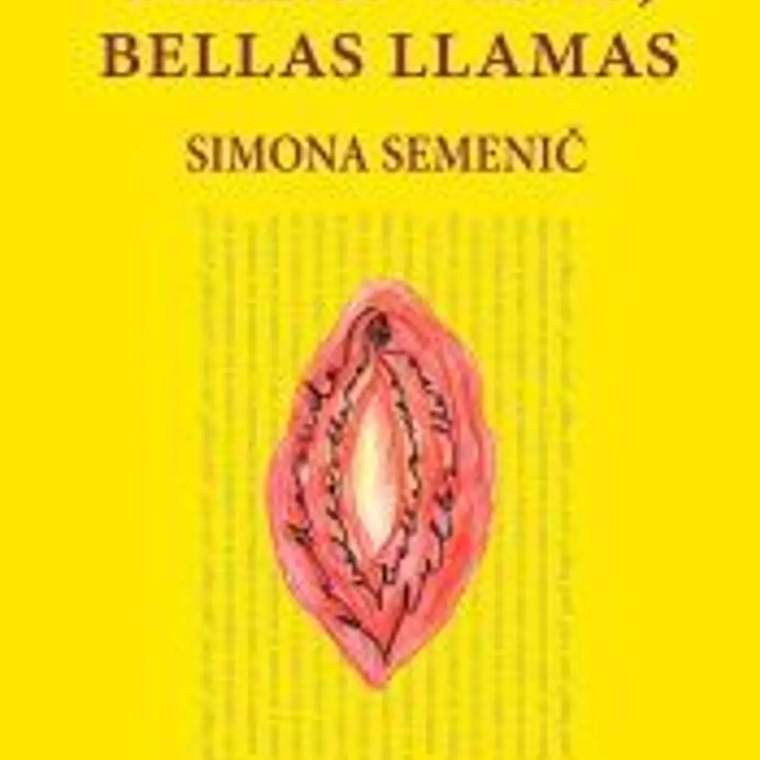 Bellas vidas, bellas llamas 1