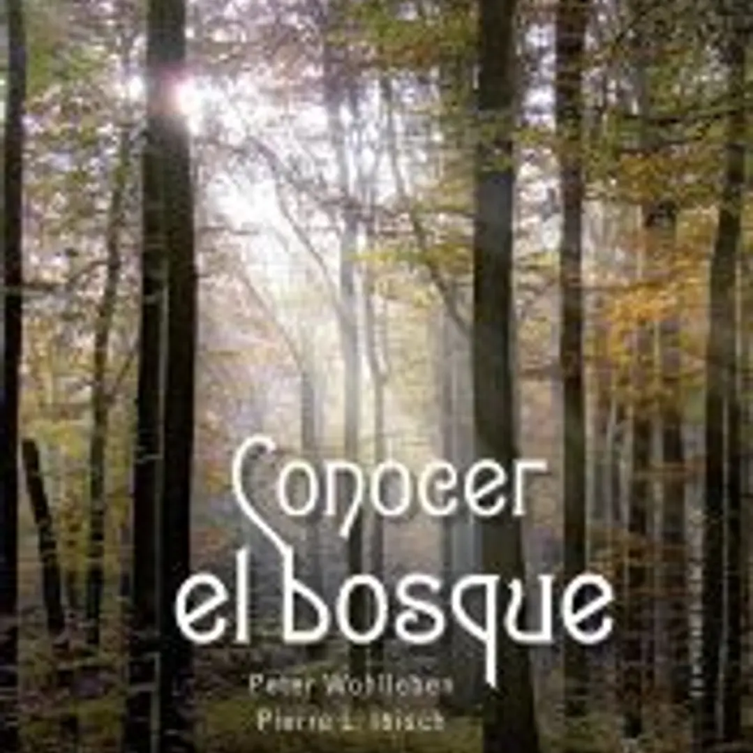 Conocer el bosque 1