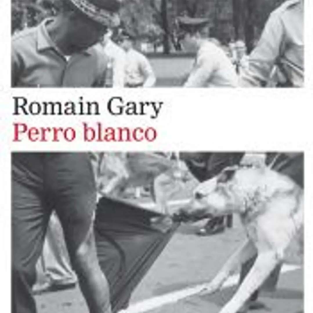 Perro blanco 1