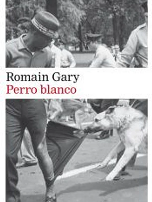 Perro blanco