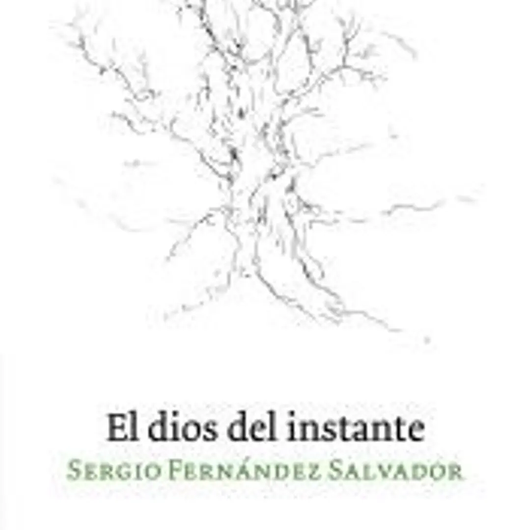 El dios del instante 1