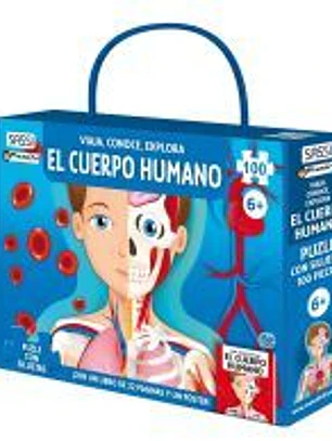 CUERPO HUMANO