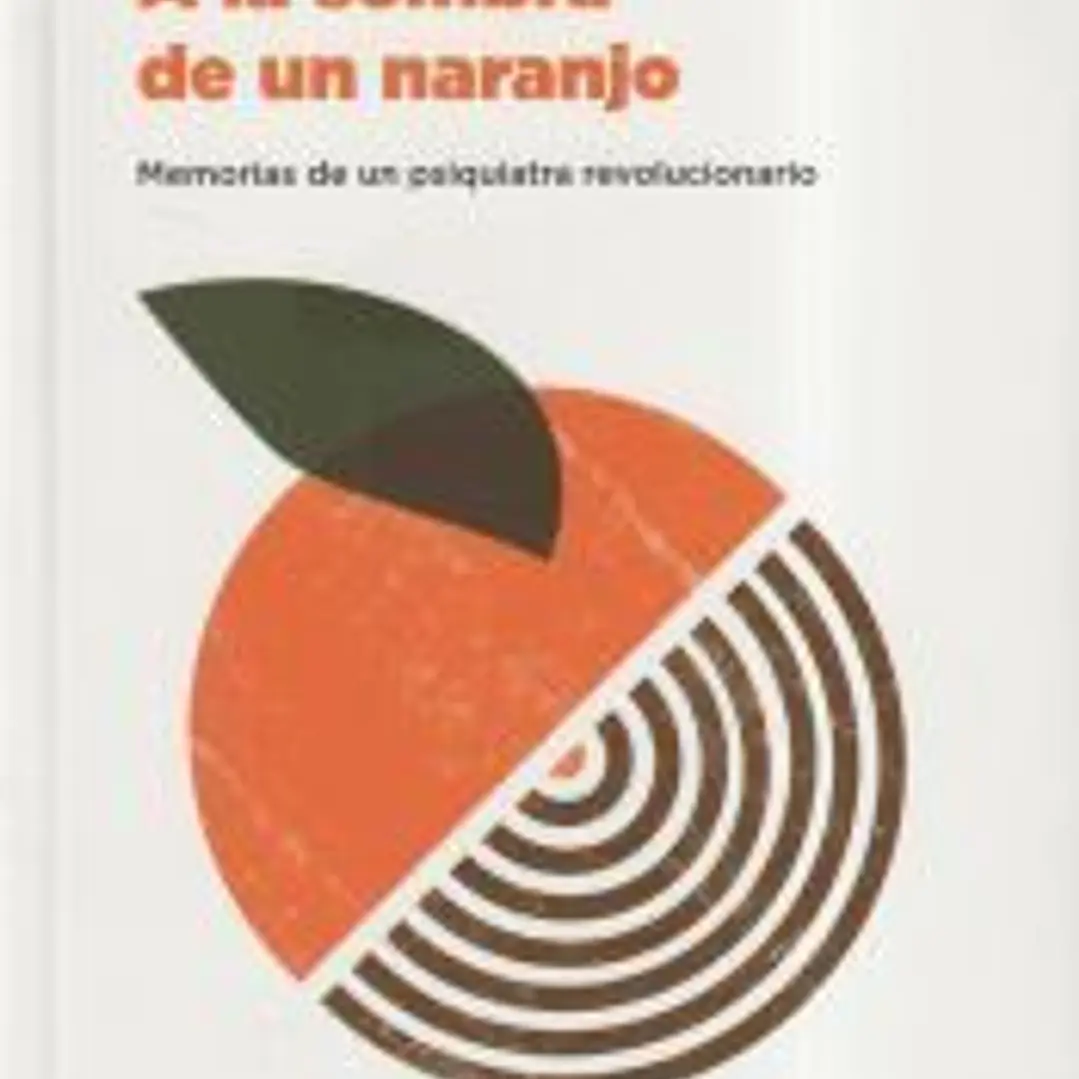A la sombra de un naranjo 1