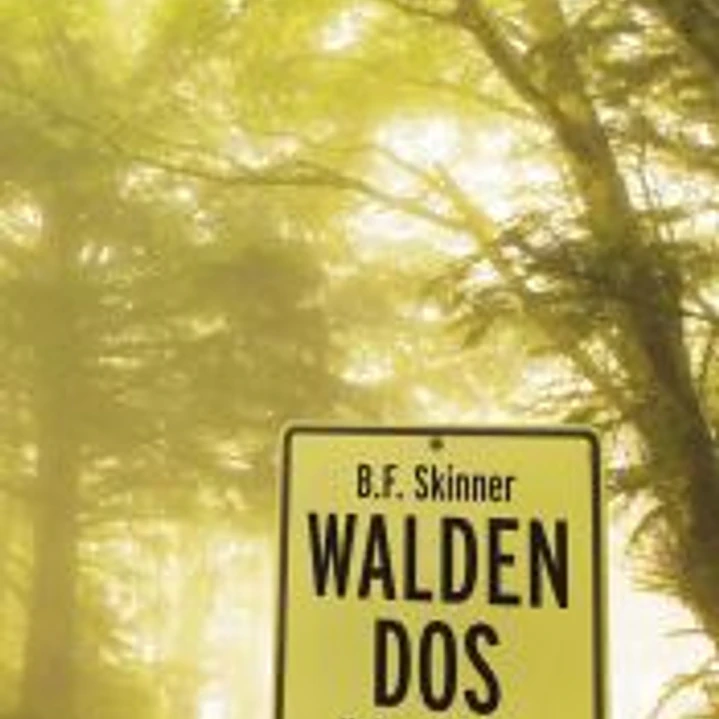 Walden Dos 1