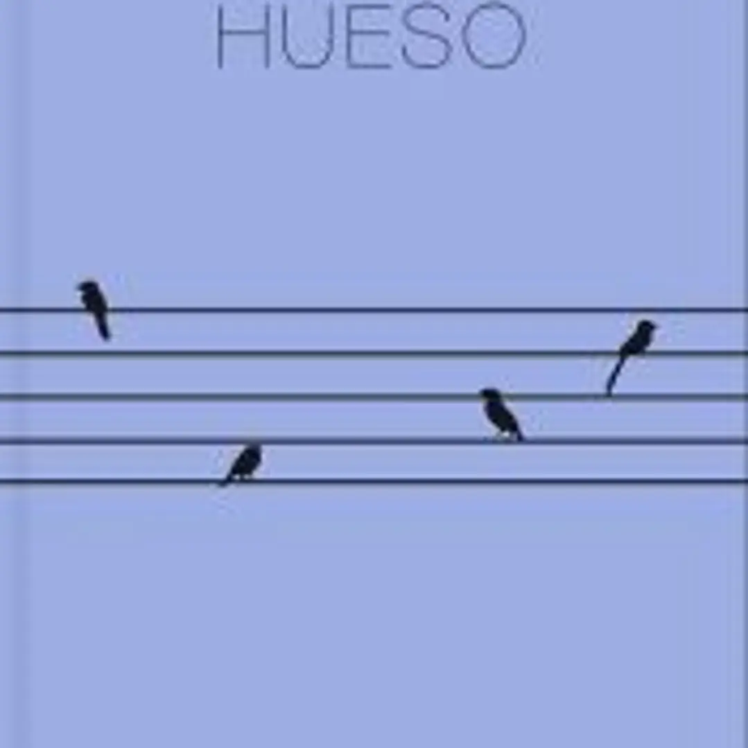 Hueso 1