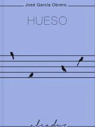 Hueso