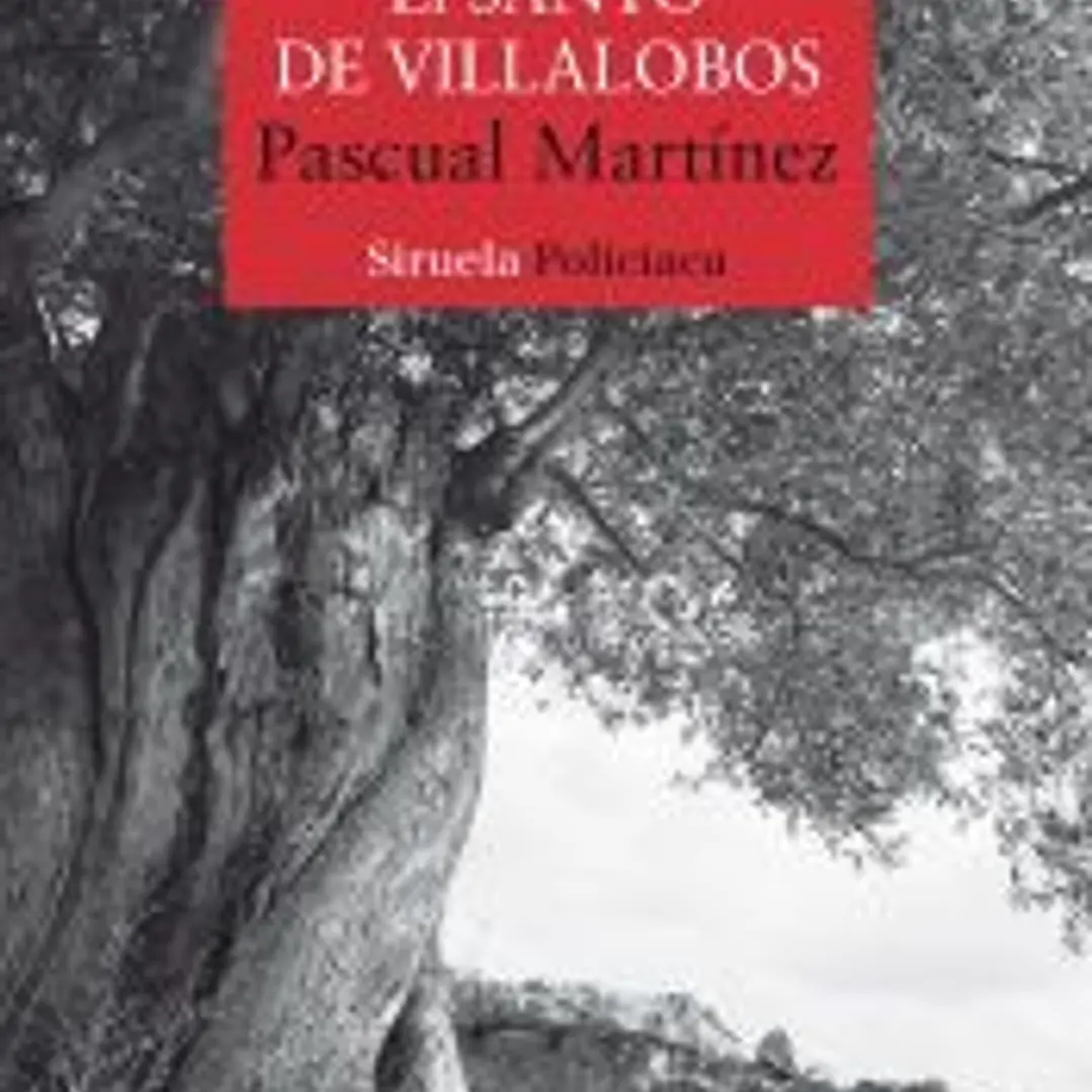El santo de Villalobos 1