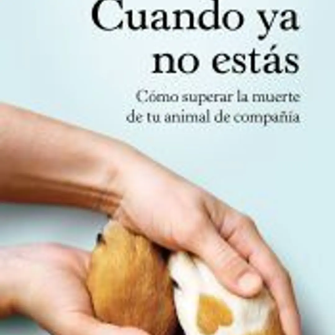 Cuando ya no estás 1
