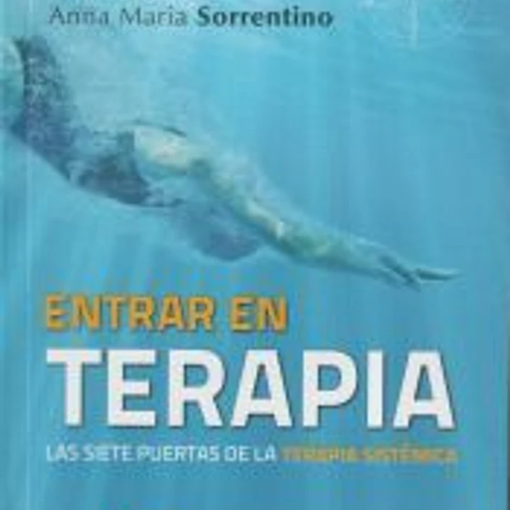 Entrar en terapia. Las siete puertas de la Terapia sistémica 1
